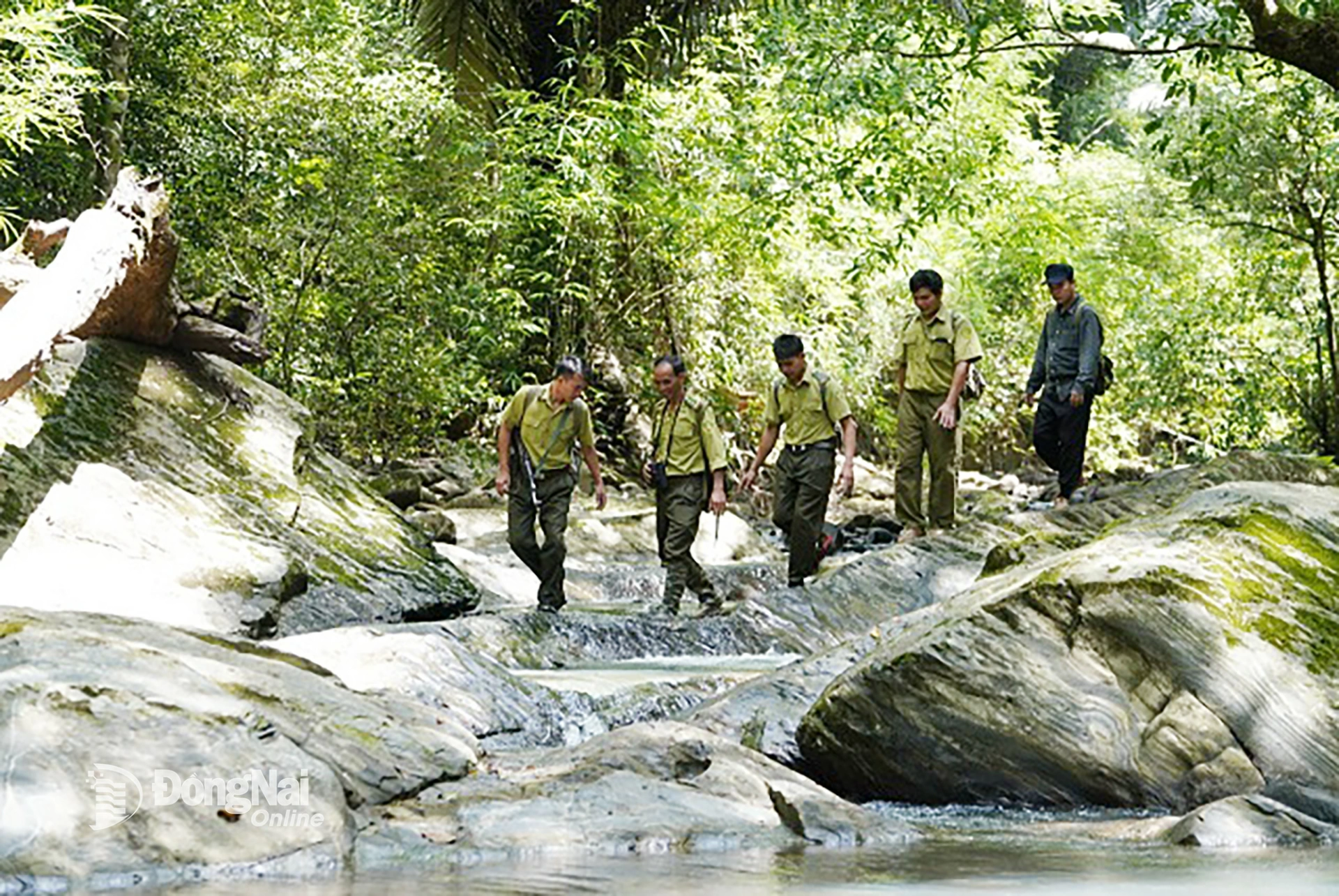 Đối với lực lượng kiểm lâm và cộng đồng dân tộc S’tiêng, M’nông sống quanh vùng đệm, giao mùa là thời điểm họ chuẩn bị cho việc phòng, chống cháy rừng. Vì vậy, việc trực, tuần tra luôn đảm bảo 24/24
