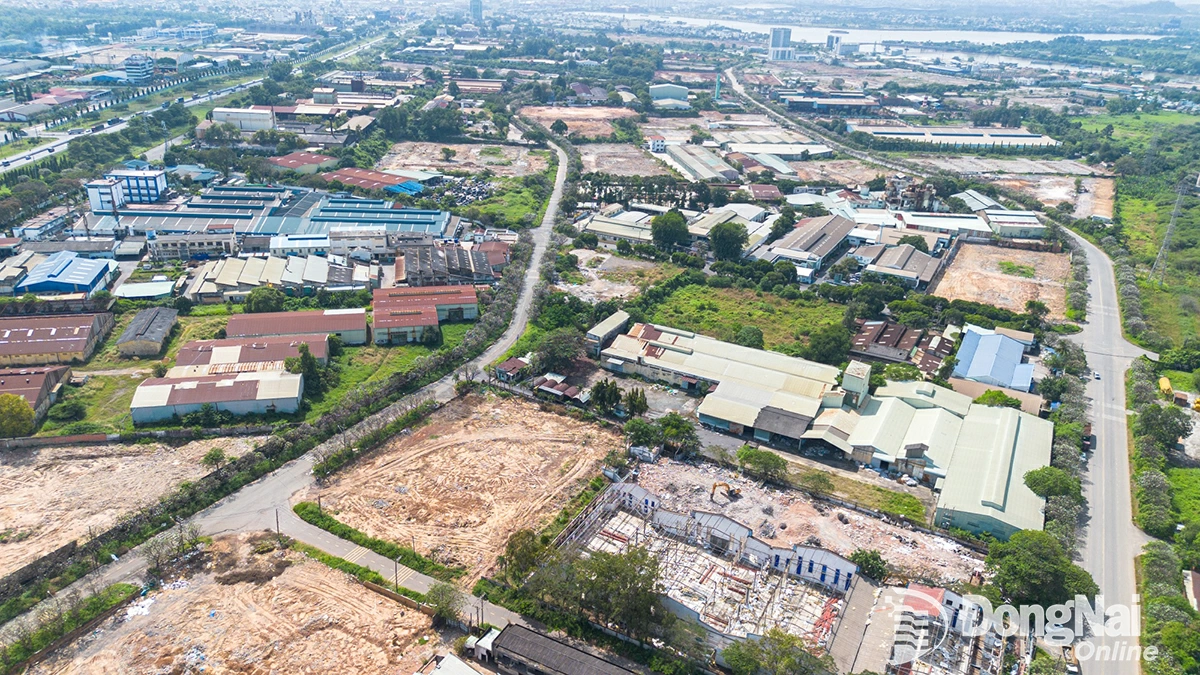 Khu vực 3 tổng diện tích 175ha để làm khu đô thị - thương mại - dịch vụ, đã giải phóng mặt bằng được 74,4ha (tương đương 46%); bao gồm cả phần diện tích đã giải phóng mặt bằng nhưng chưa bàn giao. Ảnh: Minh Tài