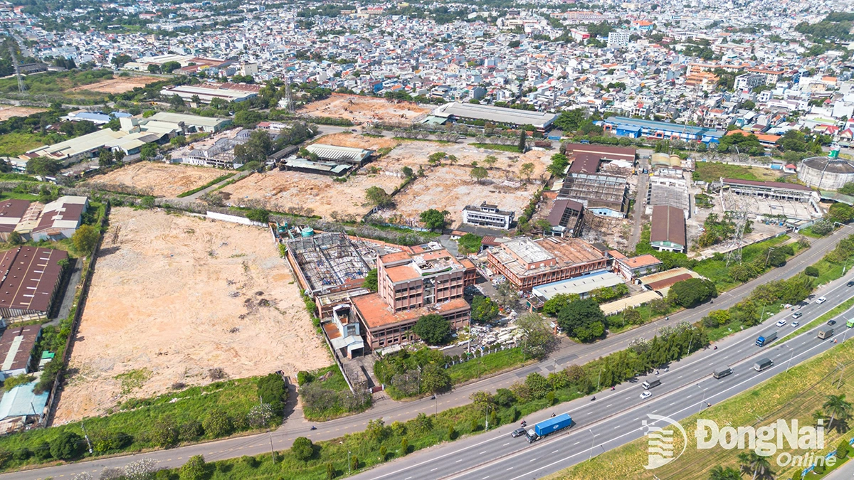 Thời gian tới, đoàn kiểm tra liên ngành của UBND tỉnh sẽ tiếp tục làm việc với các công ty để hoàn thành việc bàn giao đất trong tháng 1-2026. Ảnh: Minh Tài